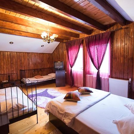 Casa Domneasca Villa Baia de Fier Kültér fotó