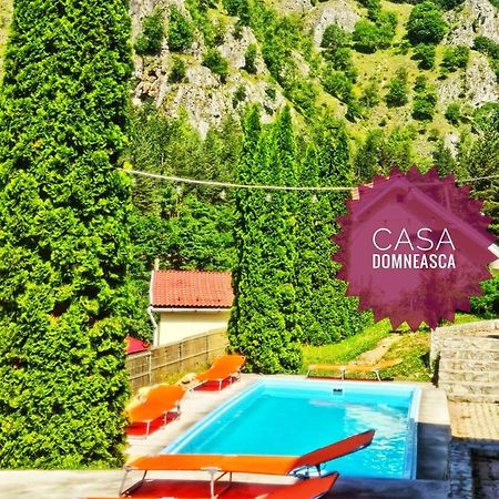 Casa Domneasca Villa Baia de Fier Kültér fotó