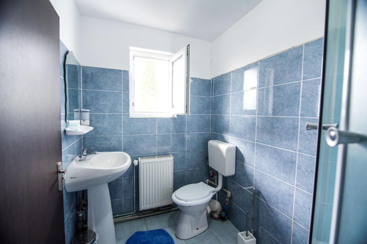 Casa Domneasca Villa Baia de Fier Kültér fotó
