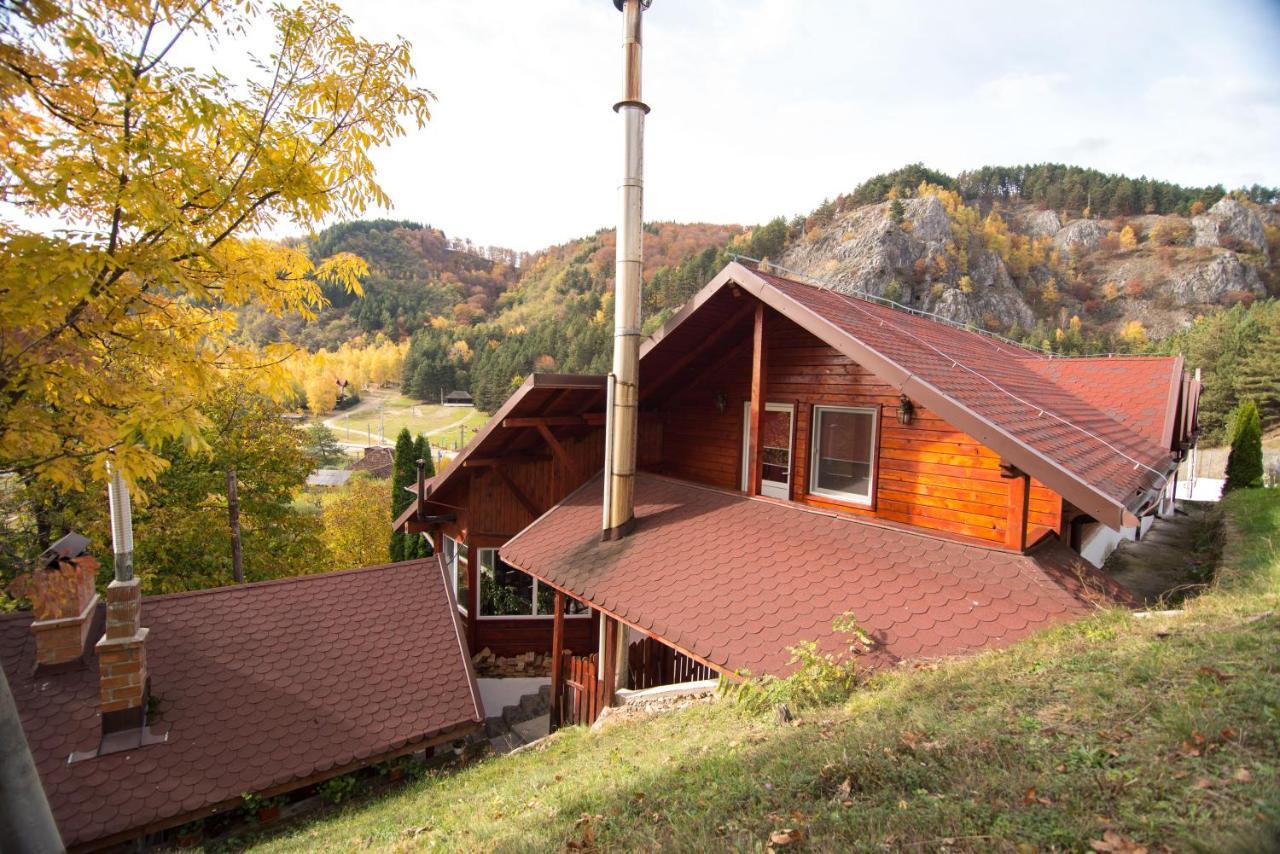 Casa Domneasca Villa Baia de Fier Kültér fotó