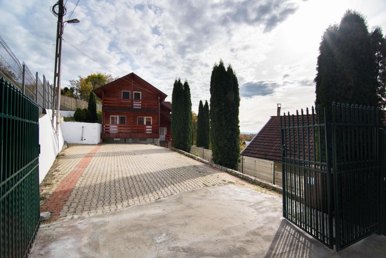 Casa Domneasca Villa Baia de Fier Kültér fotó
