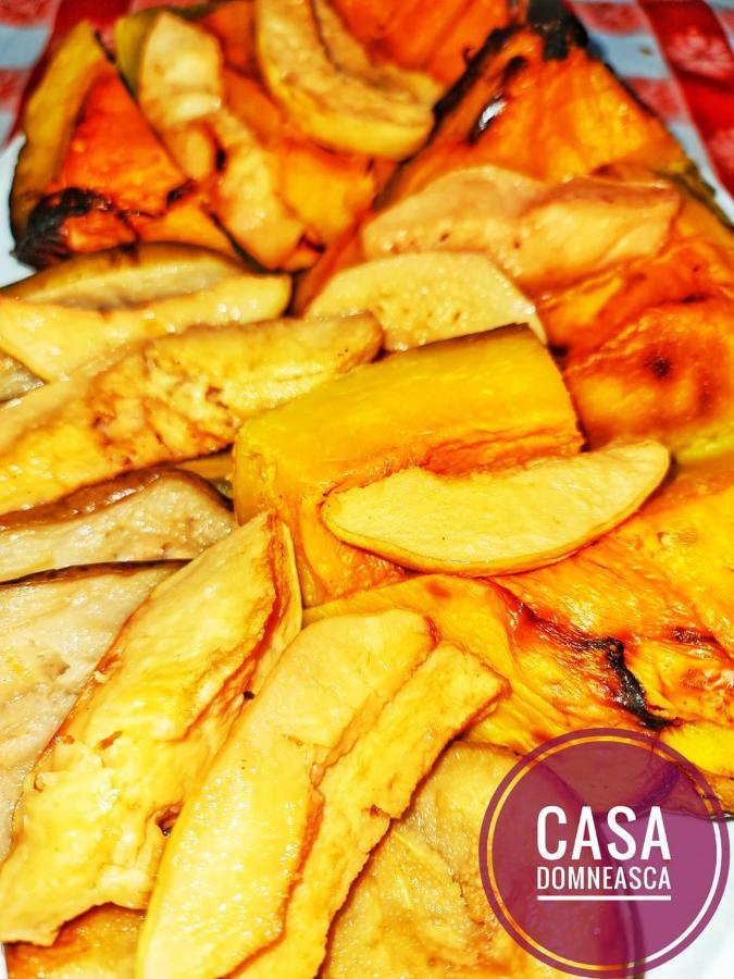 Casa Domneasca Villa Baia de Fier Kültér fotó