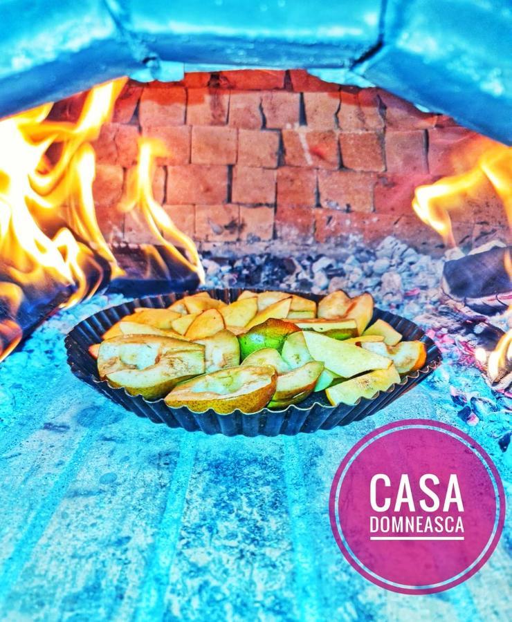 Casa Domneasca Villa Baia de Fier Kültér fotó