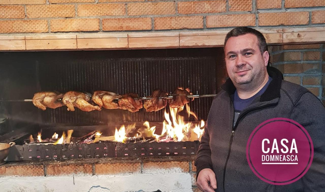 Casa Domneasca Villa Baia de Fier Kültér fotó