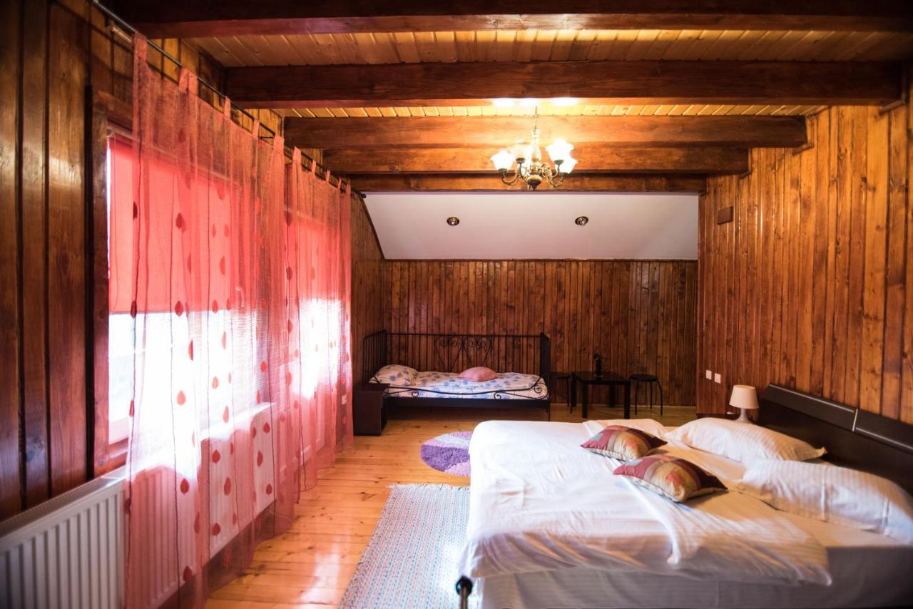Casa Domneasca Villa Baia de Fier Kültér fotó