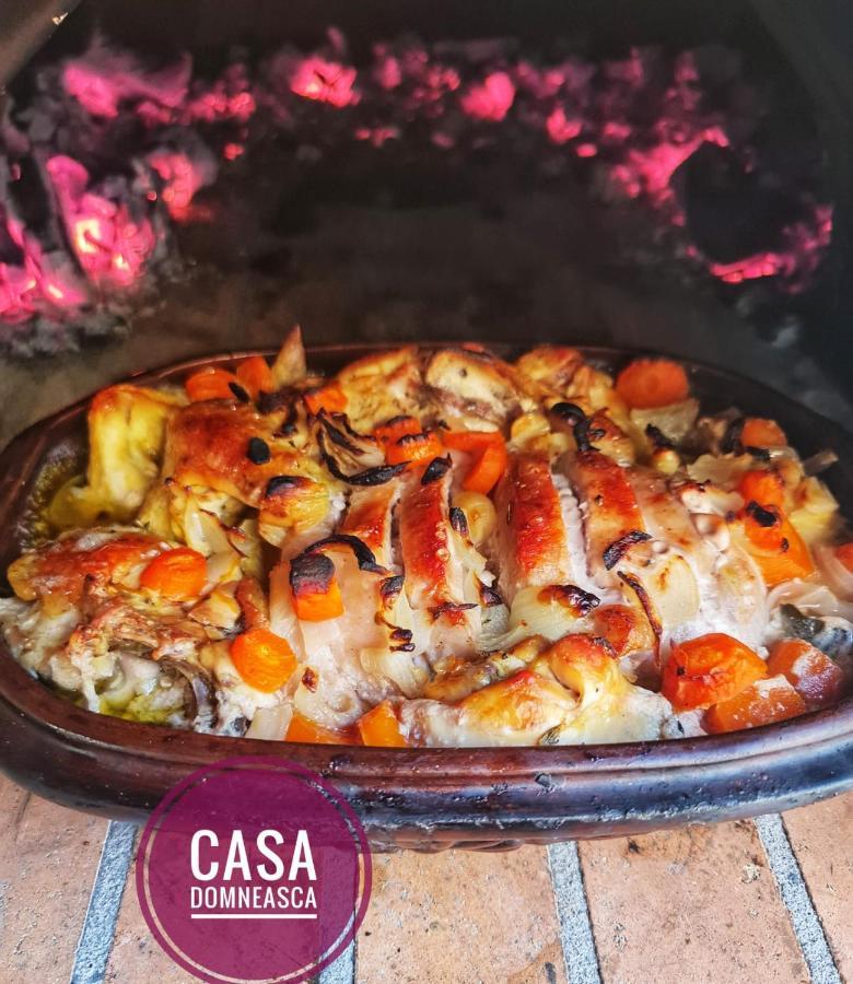 Casa Domneasca Villa Baia de Fier Kültér fotó