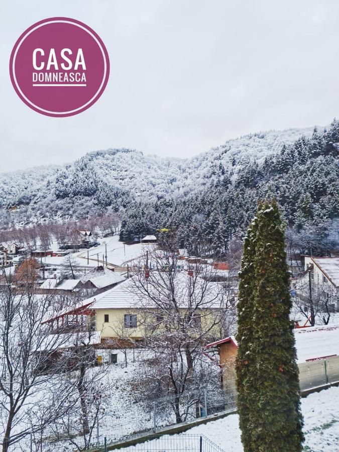 Casa Domneasca Villa Baia de Fier Kültér fotó