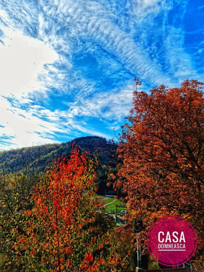 Casa Domneasca Villa Baia de Fier Kültér fotó
