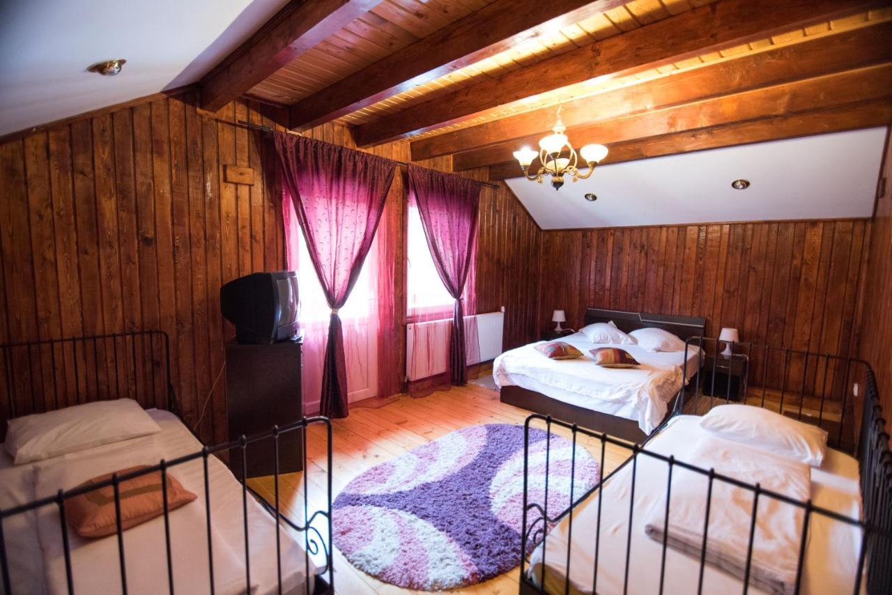 Casa Domneasca Villa Baia de Fier Kültér fotó