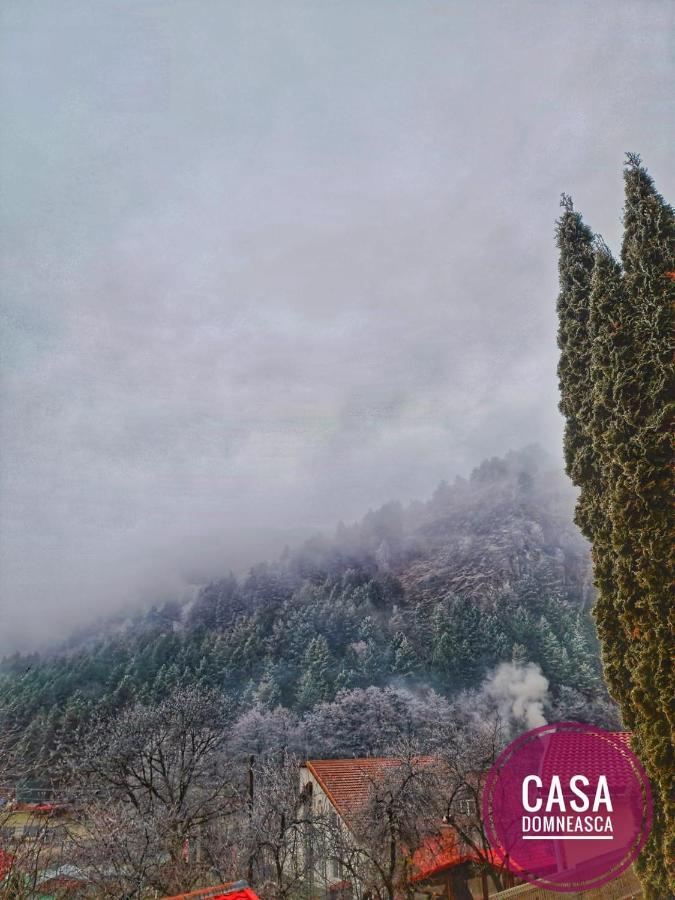 Casa Domneasca Villa Baia de Fier Kültér fotó