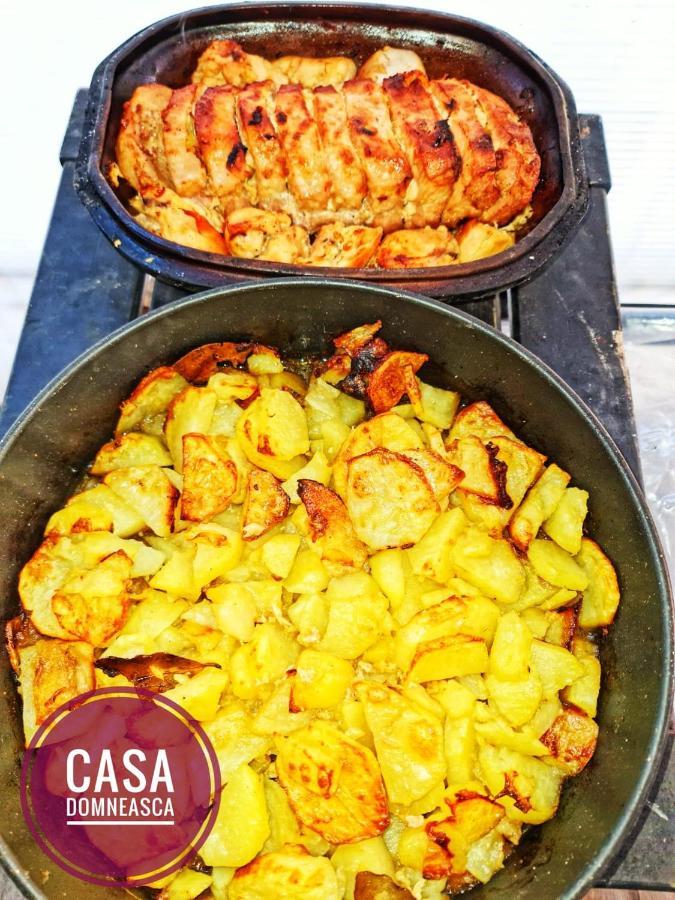 Casa Domneasca Villa Baia de Fier Kültér fotó