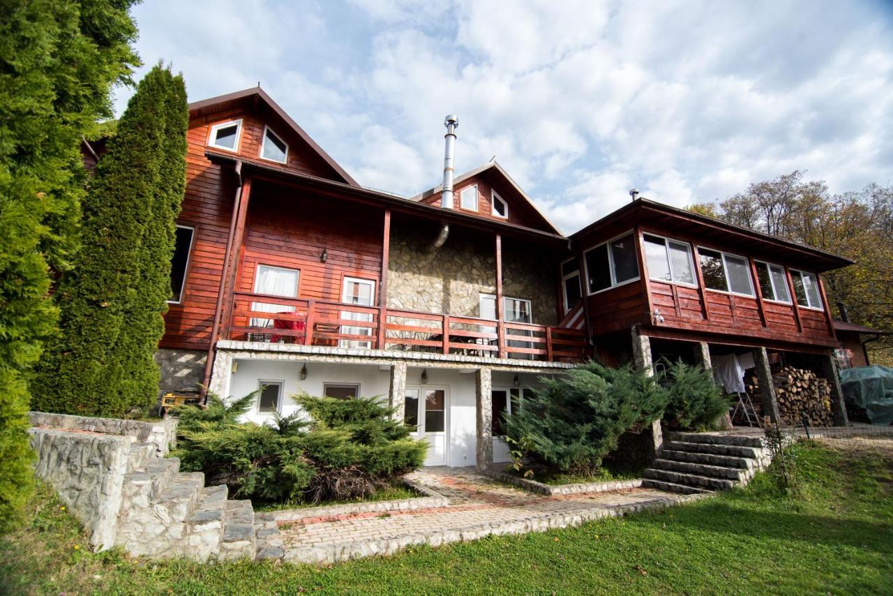 Casa Domneasca Villa Baia de Fier Kültér fotó