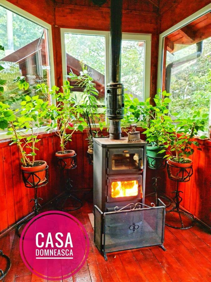 Casa Domneasca Villa Baia de Fier Kültér fotó