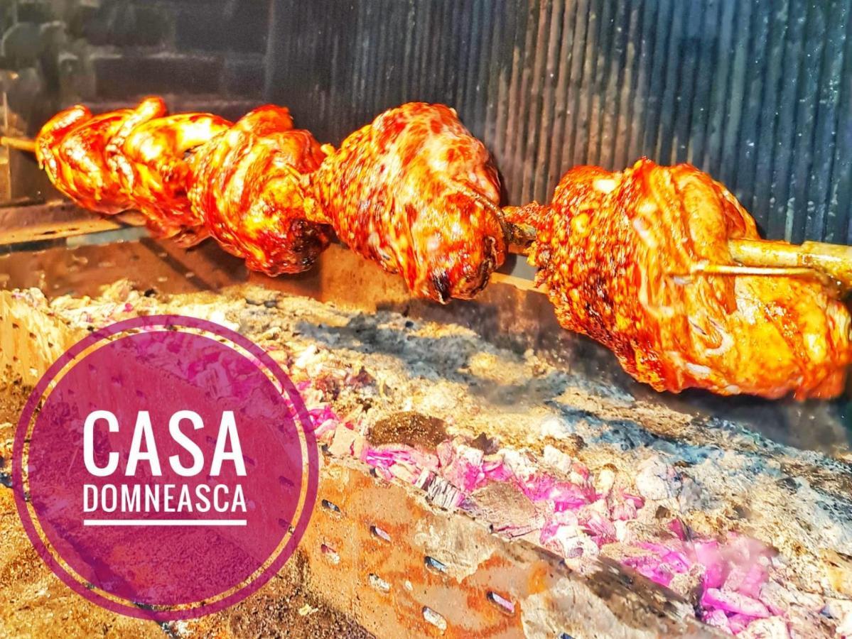 Casa Domneasca Villa Baia de Fier Kültér fotó
