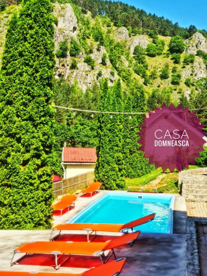 Casa Domneasca Villa Baia de Fier Kültér fotó
