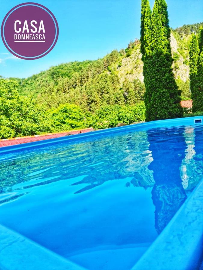 Casa Domneasca Villa Baia de Fier Kültér fotó