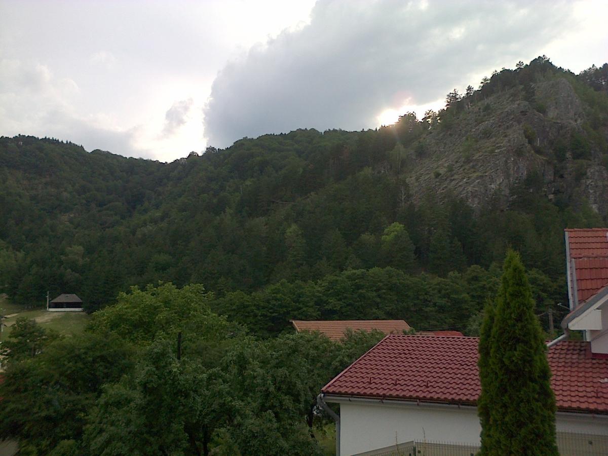 Casa Domneasca Villa Baia de Fier Kültér fotó